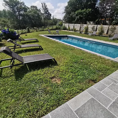 Fleurs * Bassussarry