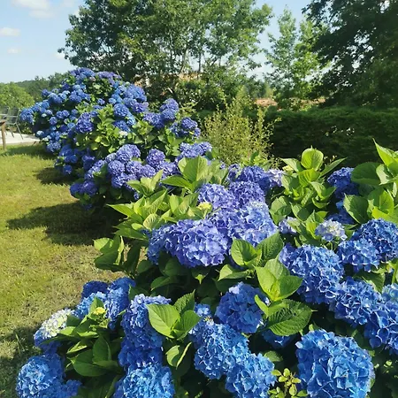 Semesterbostad Fleurs Bassussarry