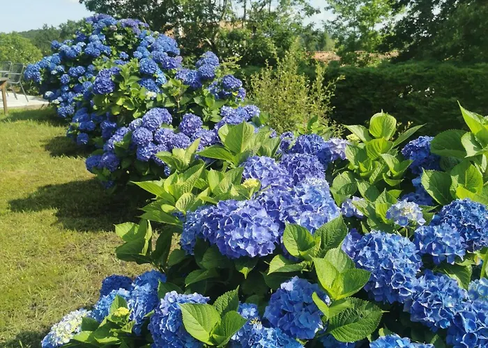 بيت للعطل Fleurs Bassussarry